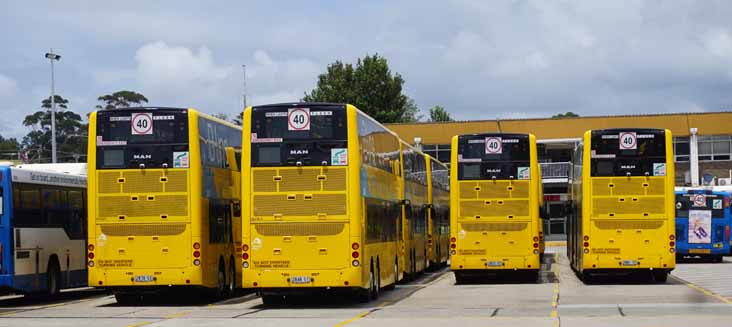 Sydney Buses MAN ND323F Gemilang Eco doubledecker B-Line 2870 2848 2872 & 2881